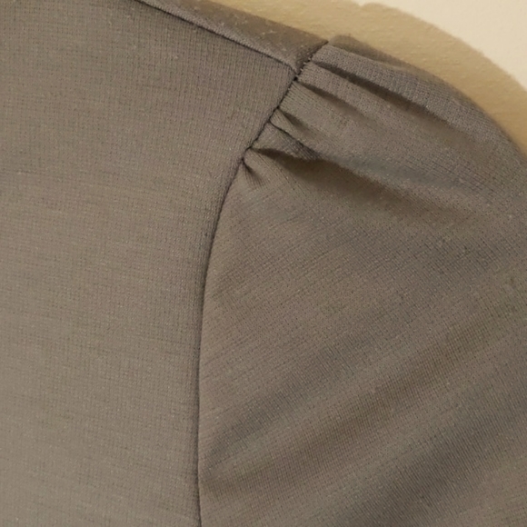 Neva| NWOT Tan Stretch Long Sleeve Mini Dress - Picture 3 of 6